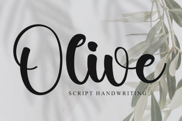 Olive: The Stylish Script Font for Beautiful Projects
