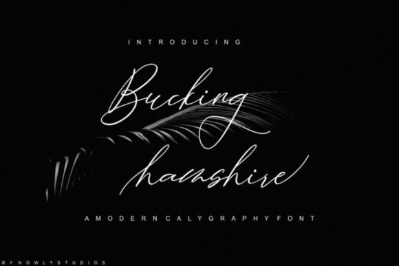 Unlocking the Potential of Bucking Hamshire for Professional and Creative Projects